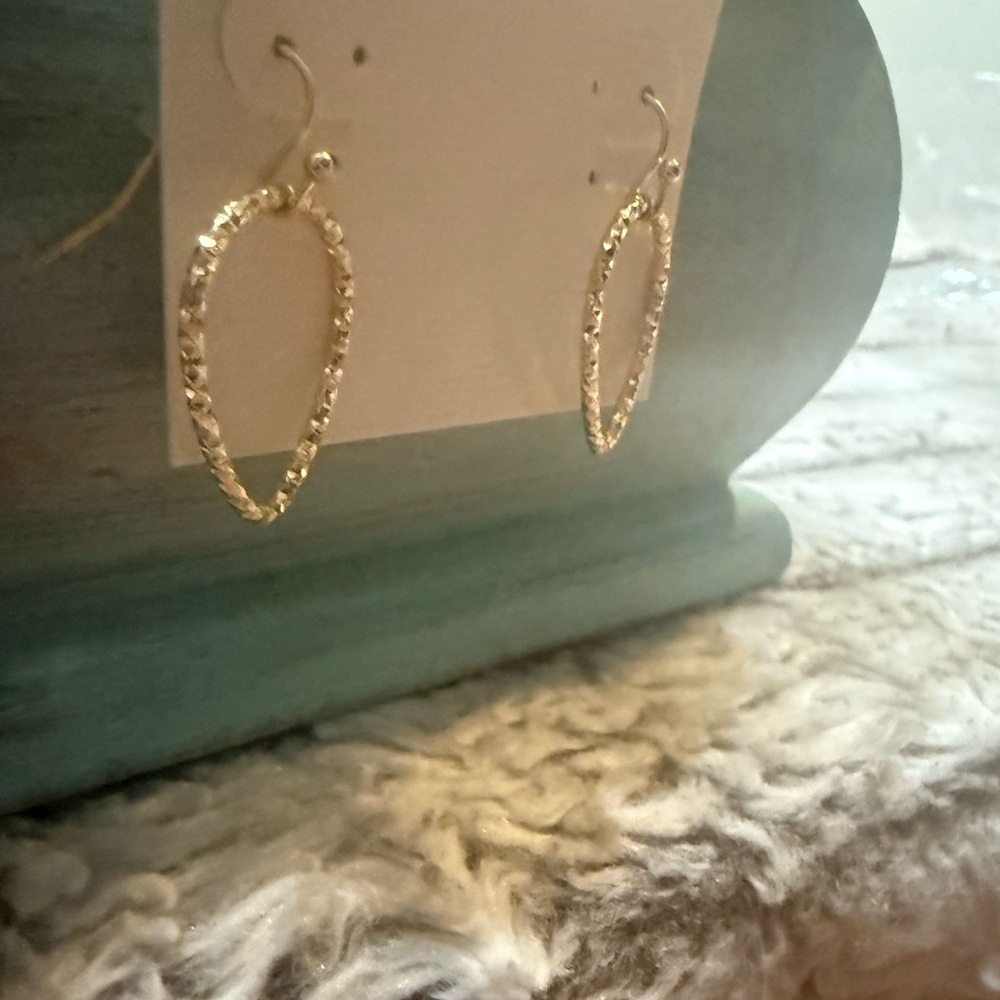 🌸4 for $10 NWT Hannah Gold-Toned Textured Oval Earrings - Picture 2 of 5